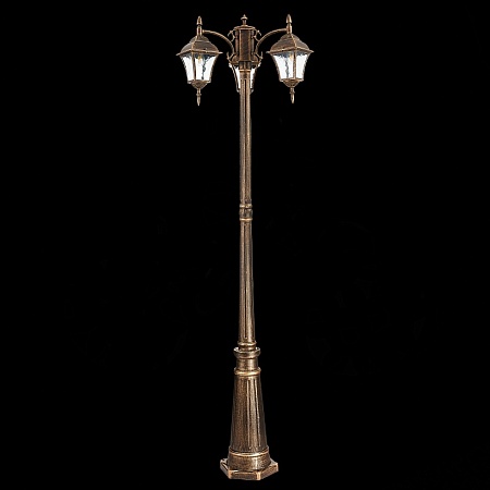 Светильник уличный наземный ST-Luce Бронза/Бронза, Прозрачный E27 3*60W SL082.205.03 - фото