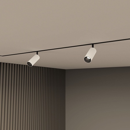 Светильник на шине Denkirs SMART SPOT DK8040-BW+BK - фото