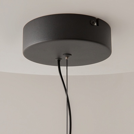 Подвесной светильник Maytoni MOD397PL-L12B3K - фото