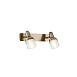 Спот Freya Arlette FR7003WL-02BZ - фото