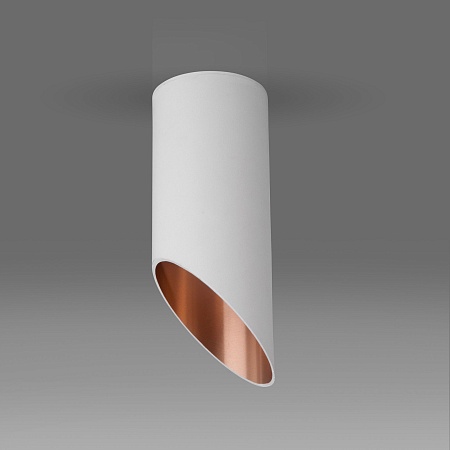 Накладной потолочный светильник DLN114 GU10 Elektrostandard - фото