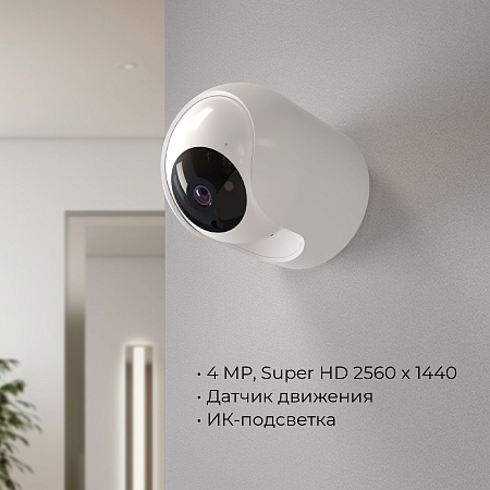 Умная видеокамера белая IP20 76500/00 Elektrostandard - фото