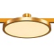Магнитный трековый светильник FARM Золотистый LED 1*10W 3000K 520Lm Ra80 120 IP20 D168x ST818.206.12 - фото