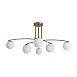 Потолочный светильник Freya Hanger FR5443CL-06BS - фото