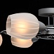 Люстра  ия MW-Light Олимп 638018708 - фото