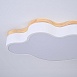 Потолочный Светильник Cloud Eco D63 White Imperiumloft 189501-26 - фото