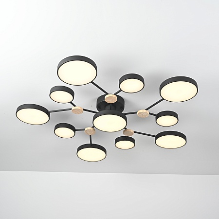 Потолочная Люстра Gamma D102 Black Imperiumloft 223770-23 - фото