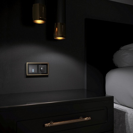 Рамка из металла на 2 поста Baguette черный/латунь W0022852 - фото