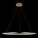 10014XL Подвесной светильник LOFT IT Ring - фото