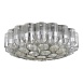 Светильник потолочный ST-Luce Никель/Никель, Прозрачный E14 19*60W SL1662.102.19 - фото