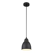 Подвесной светильник Arte Lamp BRACCIO A2054SP-1BK