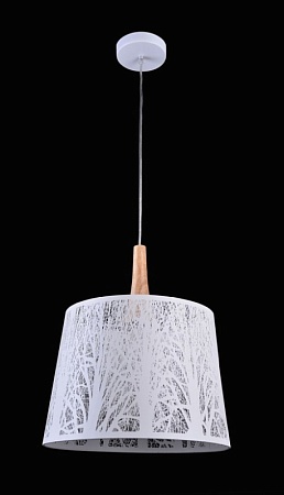 Подвесной светильник Maytoni Lantern MOD029-PL-01-W - фото