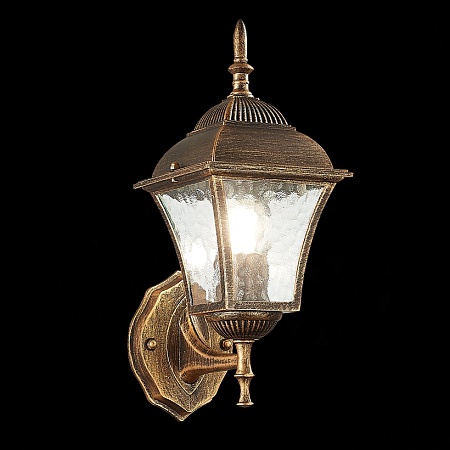 Светильник уличный настенный ST-Luce Бронза/Бронза, Прозрачный E27 1*60W SL082.201.01 - фото