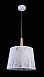Подвесной светильник Maytoni Lantern MOD029-PL-01-W - фото