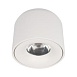10219 White 4000K Потолочный светильник LOFT IT Tictac - фото