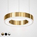 Люстра Light Ring Horizontal D40 Золото Imperiumloft 177930-22 - фото