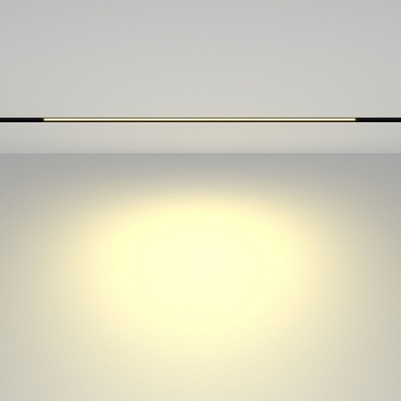 Трековый светильник Technical BASIS TR030-2-24W2.7K-B - фото