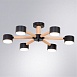 Потолочная люстра Arte Lamp TENDA A1624PL-6BK - фото