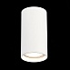 Светильник потолочный Белый LED 1*15W 3000K 1 200Lm Ra>90 60° IP44 D75xH140 220-265V ST157.532.15 - фото