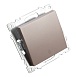 Переключатель1-клавишный (механизм), STEKKER GLS10-7105-02, 250V, 10А, серия Катрин, шампань - фото
