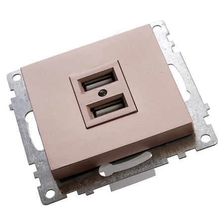 Розетка USB 2-местная (механизм), STEKKER GLS10-7115-02, 250B, 2,1A, серия Катрин, шампань - фото