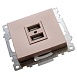 Розетка USB 2-местная (механизм), STEKKER GLS10-7115-02, 250B, 2,1A, серия Катрин, шампань - фото