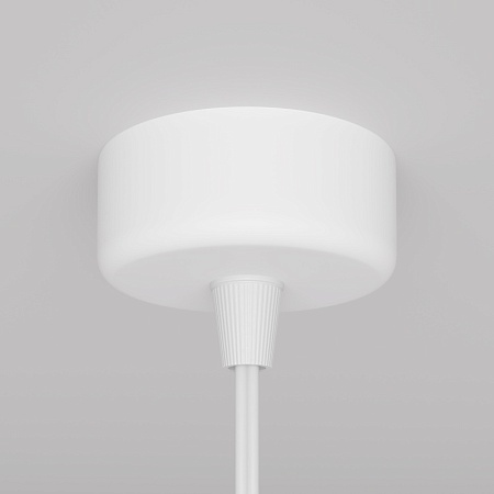 Подвесной светильник Technical Focus Design P038PL-01W - фото