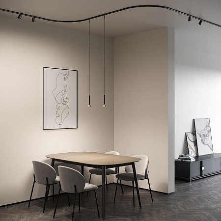 Mini Magnetic Шинопровод накладной Round черный Ø1200 мм 85168/00 Elektrostandard - фото