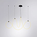 Подвесной светильник Arte Lamp KLIMT A2850SP-80BK - фото