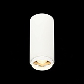 Светильник потолочный Zoom Белый LED 1*10W 3000K 1 000Lm Ra&gt;80 15-60° IP20 D59xH130 170 ST600.532.10