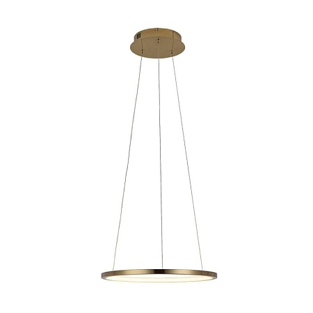 10014S Подвесной светильник LOFT IT Ring - фото