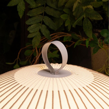 Декоративная настольная лампа Divinare 1808/33 TL-50 - фото