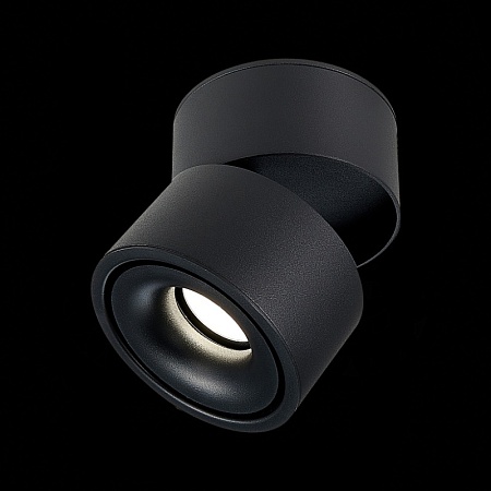 Светильник потолочный Черный LED 1*12W 4000K 1 000Lm Ra>90 36° IP20 D100xH105 170-240V ST652.442.12 - фото