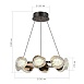 Светильник подвесной ST-Luce черный/ золотистый / прозрачный LED 1*64W 4000K SL6018.203.64 - фото