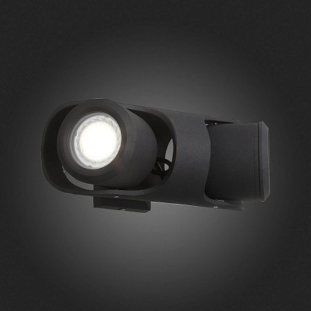 Светильник уличный настенный ST-Luce Черный/Черный, Прозрачный G5,3 2*3W SL093.401.02 - фото