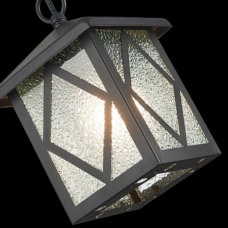 Светильник уличный подвесной ST-Luce Черный/Черный, Прозрачный E27 1*60W SL084.403.01 - фото