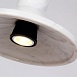 Подвесной Светильник Rarity Black Brass Imperiumloft 189843-23 - фото