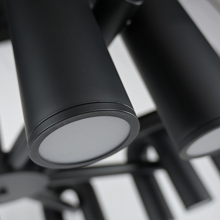 Подвесная Люстра Fanny 16 Black Imperiumloft 212348-23 - фото