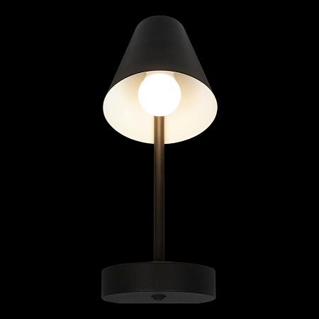 10216/1W Black Настенный светильник LOFT IT Shelf - фото