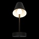 10216/1W Black Настенный светильник LOFT IT Shelf - фото