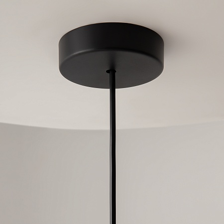 Подвесной светильник Maytoni Basic colors MOD168PL-01B - фото