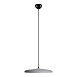 10119 Grey Подвесной светильник LOFT IT Plato - фото