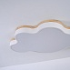 Потолочный Светильник Cloud Eco D83 White Imperiumloft 189502-26 - фото