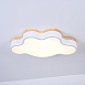 Потолочный Светильник Cloud Eco D63 White Imperiumloft 189501-26 - фото