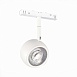 Магнитный трековый светильник Белый LED 1*10W 4000K 470Lm Ra>80 36° IP20 L120xW50xH176 ST355.546.10 - фото