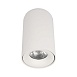 10220 White 4000K Потолочный светильник LOFT IT Tictac - фото