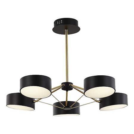 Светильник потолочный Черный, Золотистый/Черный LED 5*10W SLE6005-402-05 - фото