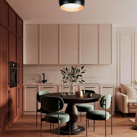 10255/500 White Потолочный светильник LOFT IT Folk - фото