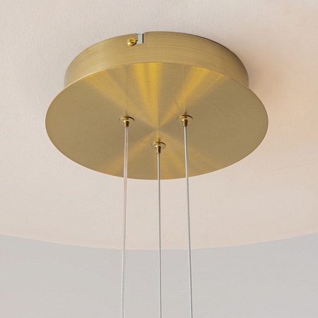 Подвесной светильник Maytoni Arana MOD401PL-L108BS3K - фото