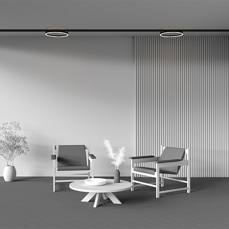 Трековый светильник Technical TR227-2-24W3K-B - фото